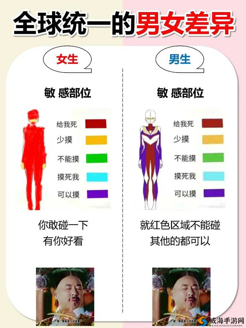 男生女生一起，探索奇妙的差异：从生理到心理，一起了解性别之谜