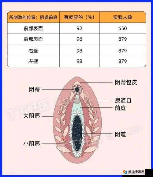 女 free 性 Z○ZO 交体内谢的原理和影响