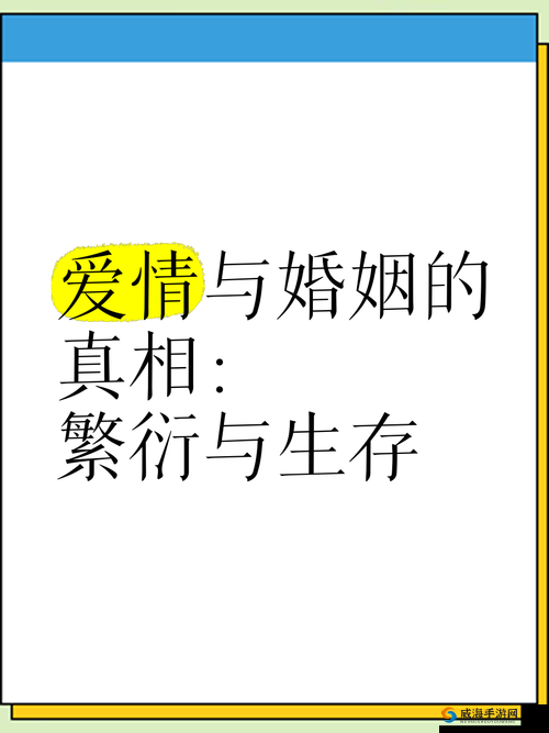 久久伦理：探索爱情与婚姻的真谛