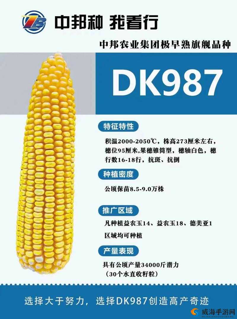 hj59c113.6.10：一款具有独特性能的重要产品