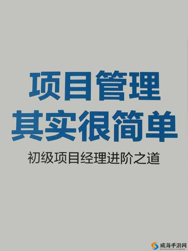 深入浅出 PMP ：开启项目管理的成功之门